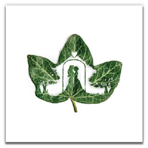 Wedding Dresses Eco-Friendly Same Love Card