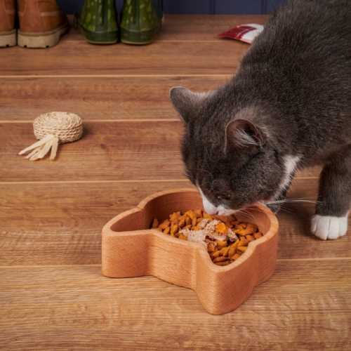 The Wood Life Project Wooden Cat Food Bowl Snooty Catz