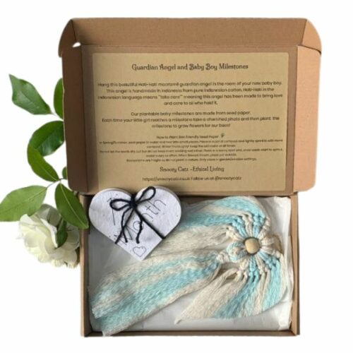 Guardian Angel and Baby Boy Milestone Cards